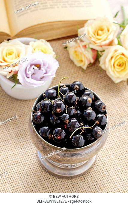 Black currant. Healthy summer fruits