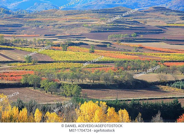Rioja wine region landscape, Najerilla valley, La Rioja, Spain