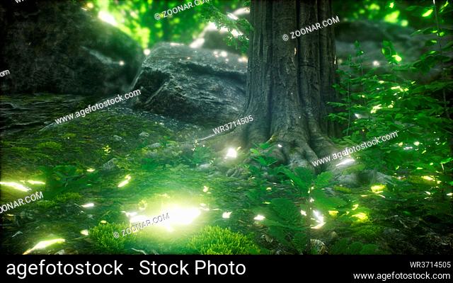 scenic forest of fresh green deciduous trees framed by leaves, with the sun casting its warm rays through the foliage