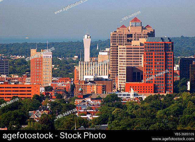 The skyline of New Haven Connecticut rises over the leafy trees