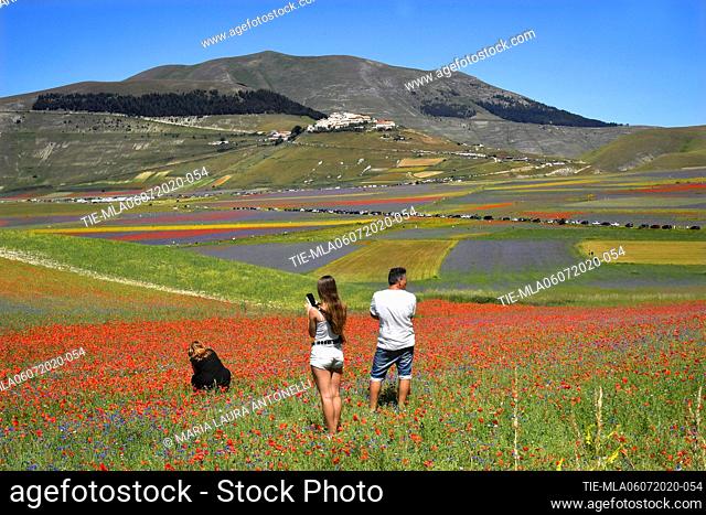 Tourists photograph the lentils bloom , Castelluccio di Norcia (Perugia) ITALY-07-07-2020