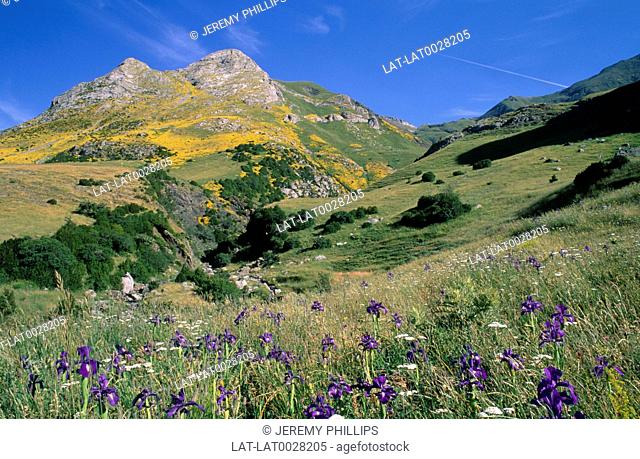 The Pyrenees are a range of mountains that form the natural border between Spain and France stretching 267 miles from the Atlantic Ocean to the Mediterranean...