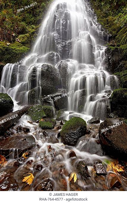 Fairy Falls in the fall, Columbia River Gorge, Oregon, United States of America, North America