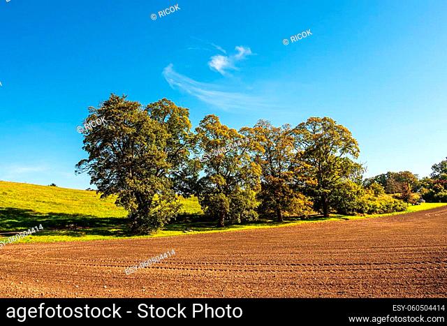 Landscape with field and trees near Hohen Demzin, Germany