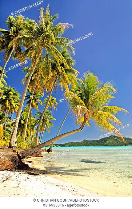 Bora-Bora, iles de la Societe, archipel de la Polynesie francaise, ocean pacifique sud