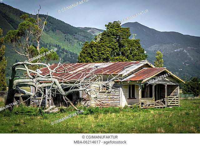 New Zealand, Commonwealth, farm, abandoned, decay