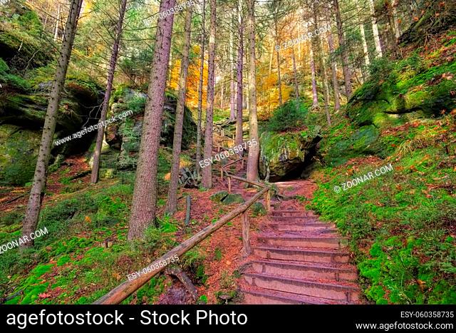 Wanderweg im Elbsandsteingebirge - Hiking trail in the Elbe sandstone mountains in fall