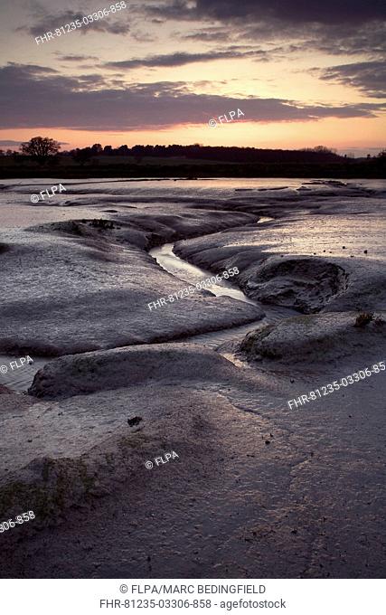 Sunset over river estuary habitat at low tide, Levington Creek, River Orwell, Suffolk, England, april