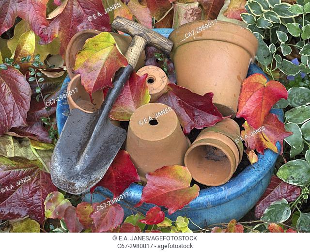 Tera cotta flower pots, hand trowel and fallen leaves of Virginia creeper Parthenocissus quinquefolia