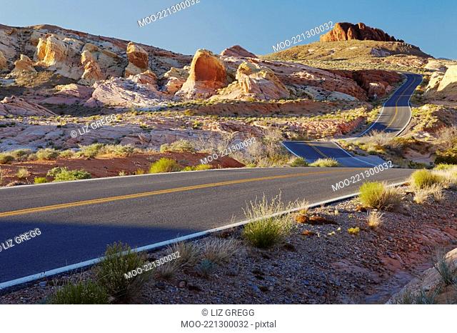 Desert road USA