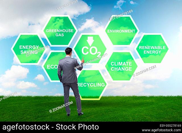 Businessman in ecology and environment concept