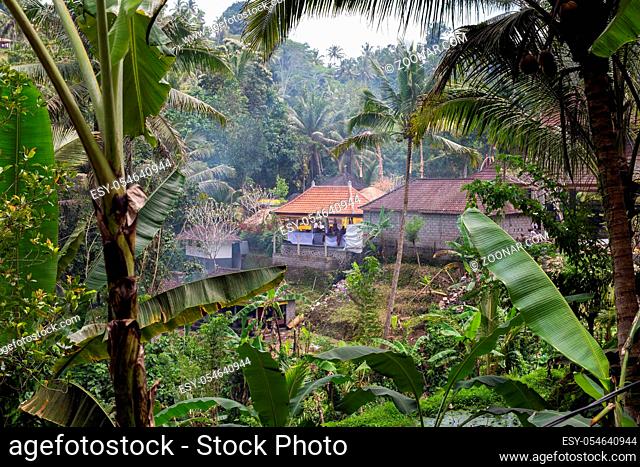 Beautiful landscape of a tropical Indonesian rainforest. Palm trees and a village near nature