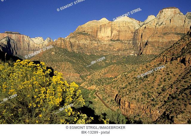 View of the Three Patriarchs, Zion National Park