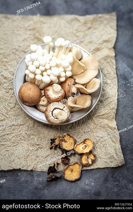 Various mushrooms - shiimeji, oyster, champignons, dried shiitake