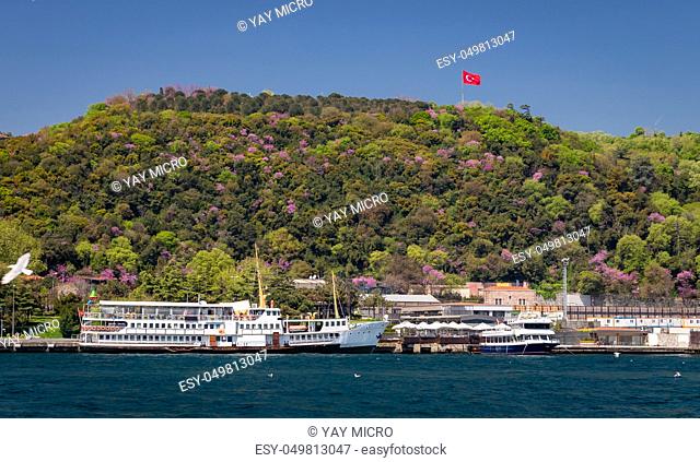 Ferry in Bosphorus Strait, Istanbul City, Turkey