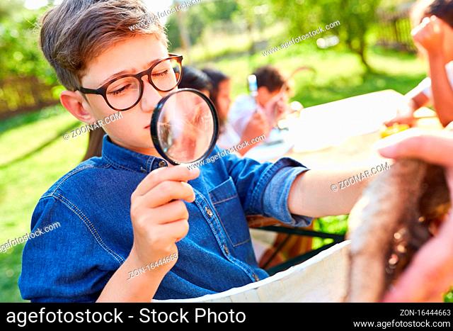 Neugieriger Junge betrachtet Baumrinde durch eine Lupe im ökologischen Ferienlager