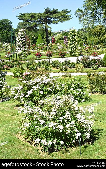 Bois de Boulogne, Parc de Bagatelle, rose garden and orangery. Bagatelle Parc, Paris, France