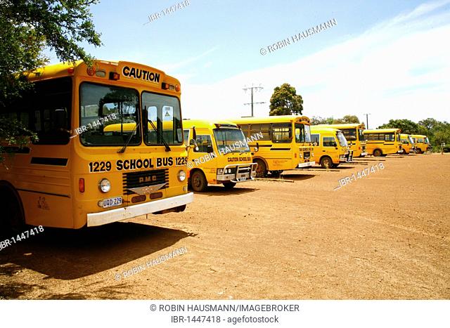 School buses on Kangaroo-Island, South Australia, Australia