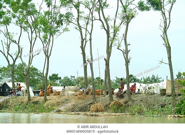 People along with their cattle take shelter in a flood shelter centre Gaibandha, Bangladesh July 21, 2004
