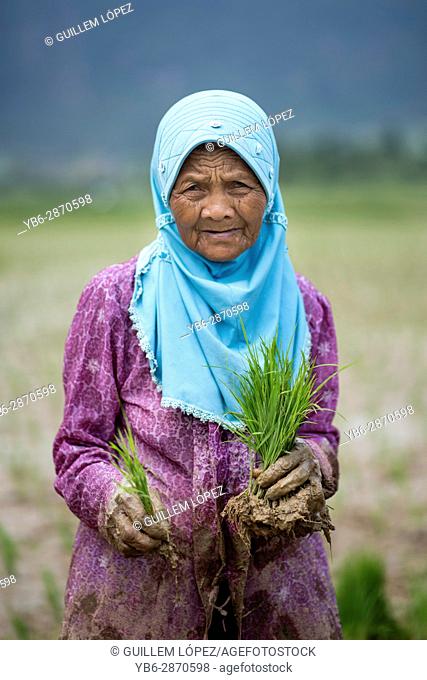 Portrait of a female rice field worker at the Harau Valley, Sumatra, Indonesia