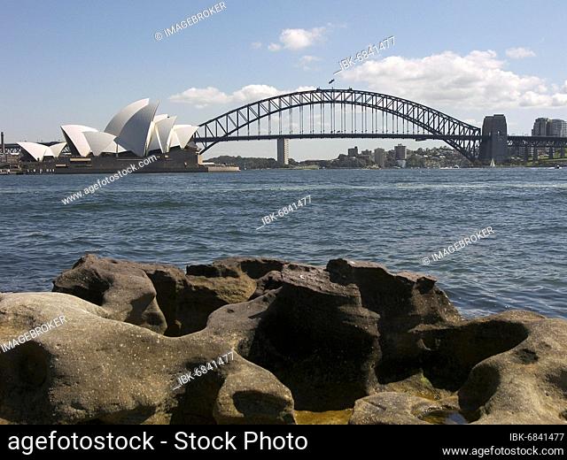 The Sydney Opera House and Harbour Bridge, view from Mrs Macquaries Point, Australia -