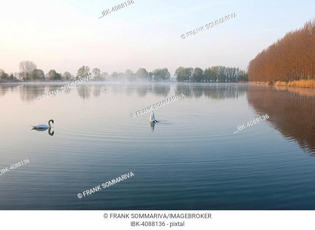 Ponds, Herbslebener Teiche Nature Reserve, Herbsleben, Thuringia, Germany