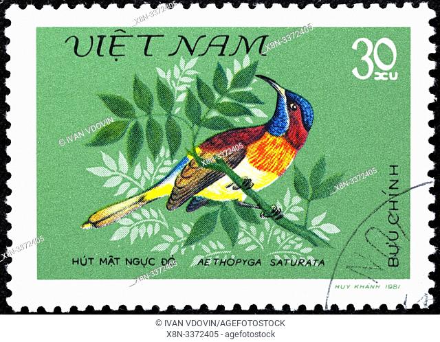 Aethopyga saturata, Black-throated Sunbird, postage stamp, Vietnam, 1981