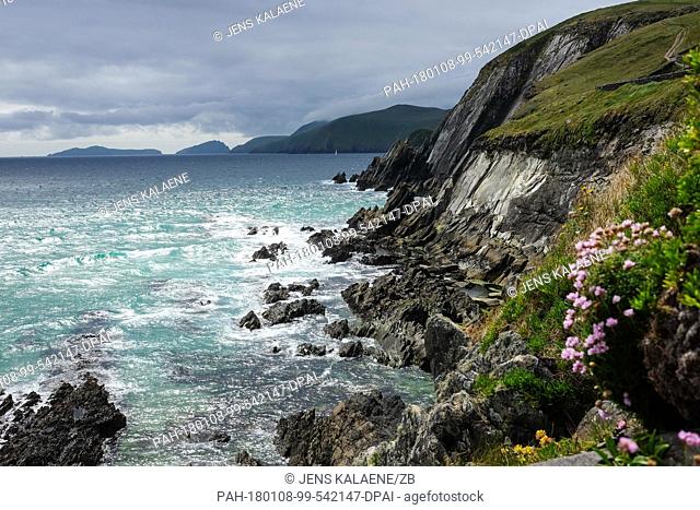 The rocky west coast of the Dingle peninsula seen in County Kerry, Ireland, 31 May 2017.· NO WIRE SERVICE · Photo: Jens Kalaene/dpa-Zentralbild/ZB