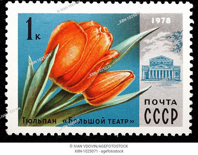 Tulip 'Bolshoi theatre', postage stamp, USSR, 1978