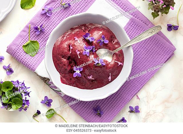 Homemade blueberry ice cream with fresh red dead-nettle and violet flowers, top view