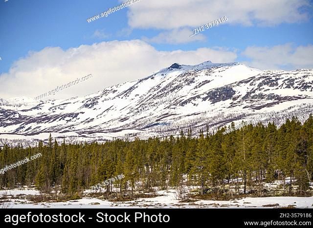 Snowy landscape in spring time with mountains in background, Stora sjöfallets nationalpark, Laponia world heritage, Swedish Lapland, Sweden