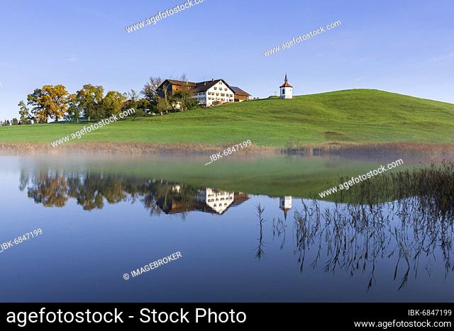 Farm with chapel at the Hegratsrieder See, water reflection, near Füssen, Allgäu, Bavaria, Germany, Europe