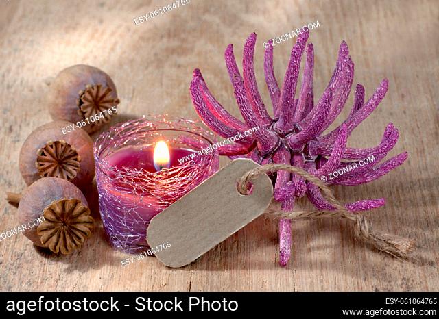 Kerze und Anemone mit Pappschild und Textfreiraum