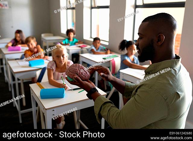 African american young male teacher explaining brain model to multiracial elementary students