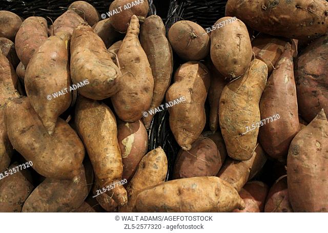 Russet Potatoes on display in a supermarket bin