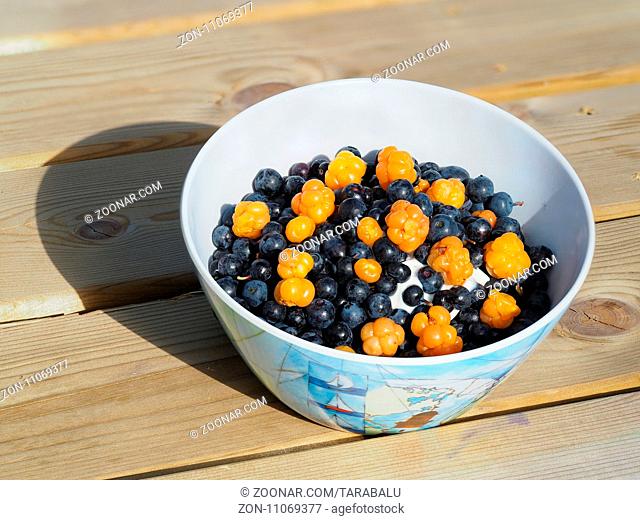 Muesli with blueberries and cloudberries. Müsli mit Heidelbeeren und Moltebeeren