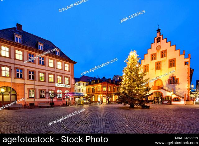 Adelmanns house, market square, town hall, fir tree, Christmas, blue hour, Karlstadt am Main, Main-Spessart, Franconia, Bavaria, Germany, Europe