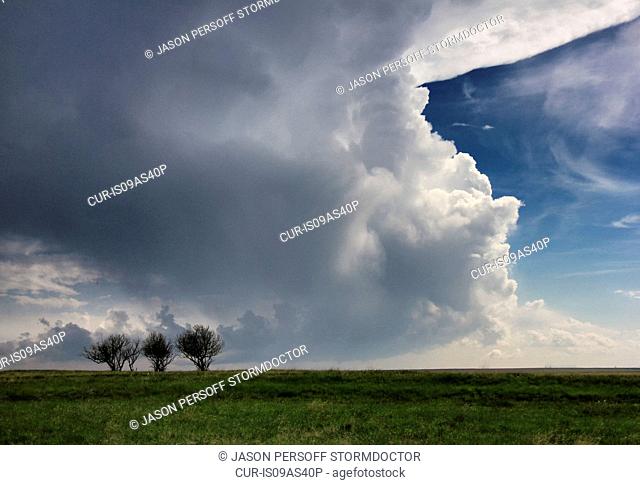 Supercell forming over plains, three isolated trees in foreground, Chugwater, Wyoming, USA