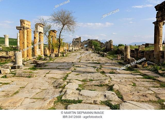Street with colonnade, ancient city of Hierapolis
