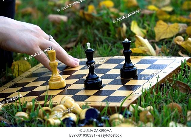 chess on the grass through the leaves