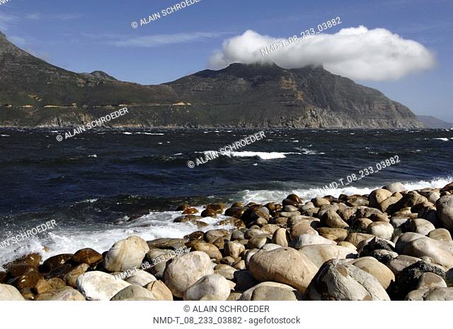 Rocks at the coast, Chapman's Peak, Hout Bay, Cape Town, Western Cape Province, South Africa