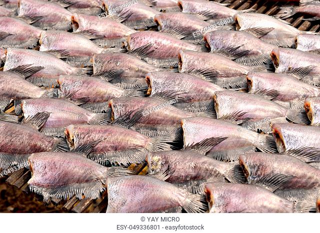 Sun dried salid fish before cooking sell in the market in thailand