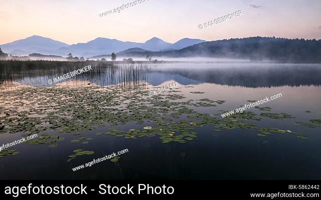 Sunrise with wafts of mist over the Lake Turnersee, Karawanken, Carinthia, Austria, Europe