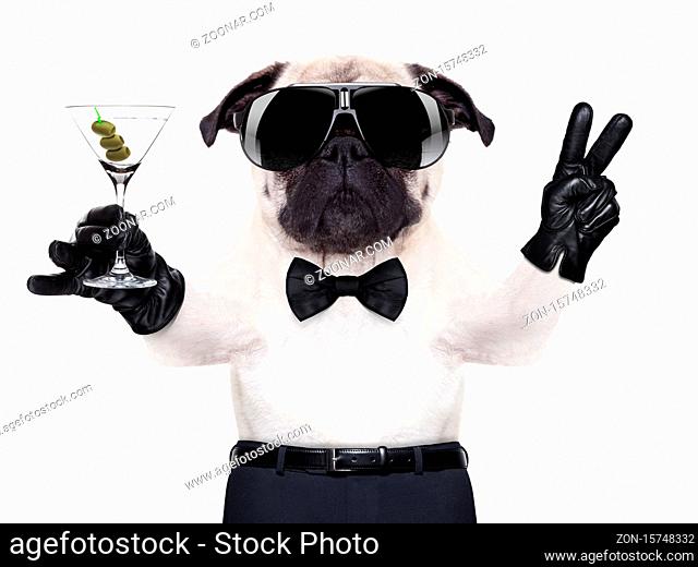 cool pug dog with martini glass and peace or victory fingers