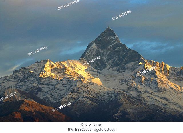 view to Mount Machhapuchchhre, Fish Tail, Nepal, Annapurna, Himalaya