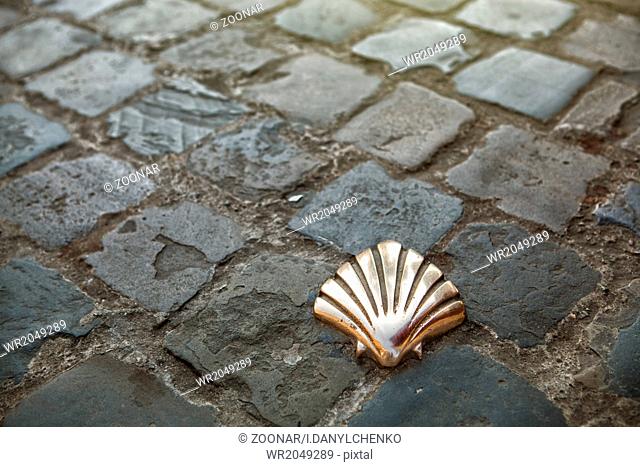 Santiago Pilgrims shell in Brussels
