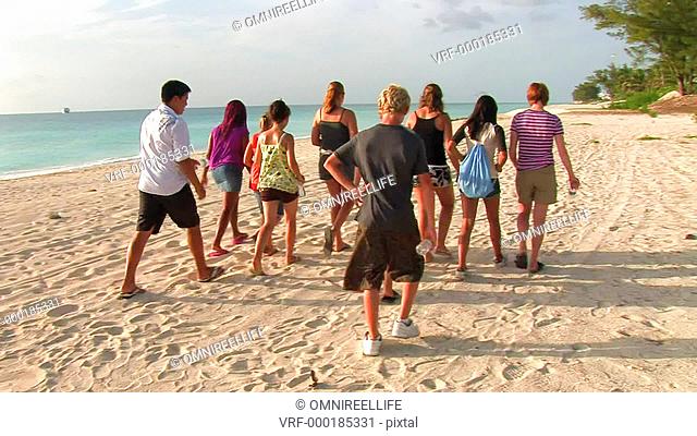 Rear view of teenagers walking on sandy beach