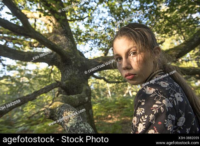 Young girl, dressed in jeans and a blouson with floral motifs, sitting on a branch of an old oak tree in the Forest of Rambouillet