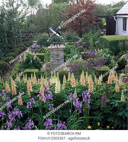 Gimbal on plinth and blue iris with pink lupins in country cottage garden in summer with clipped shrubs