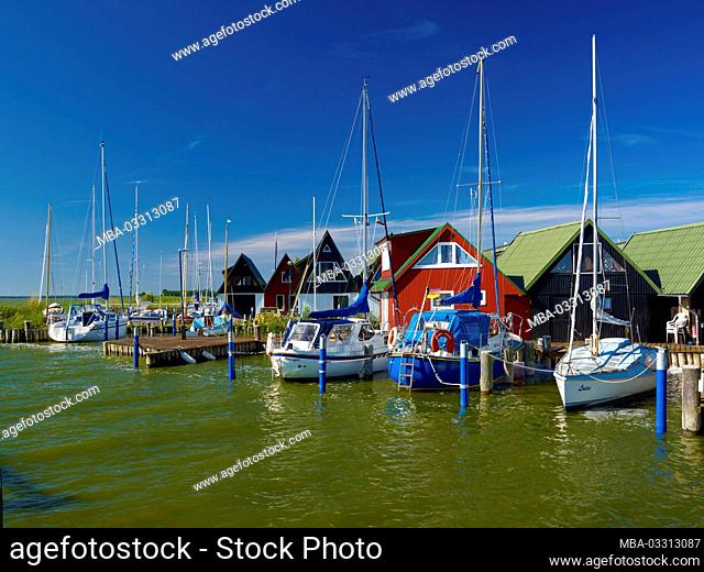 Sailing boats in the port of Althagen near Ahrenshoop, Fischland-Darss-Zingst, Mecklenburg-West Pomerania, Germany